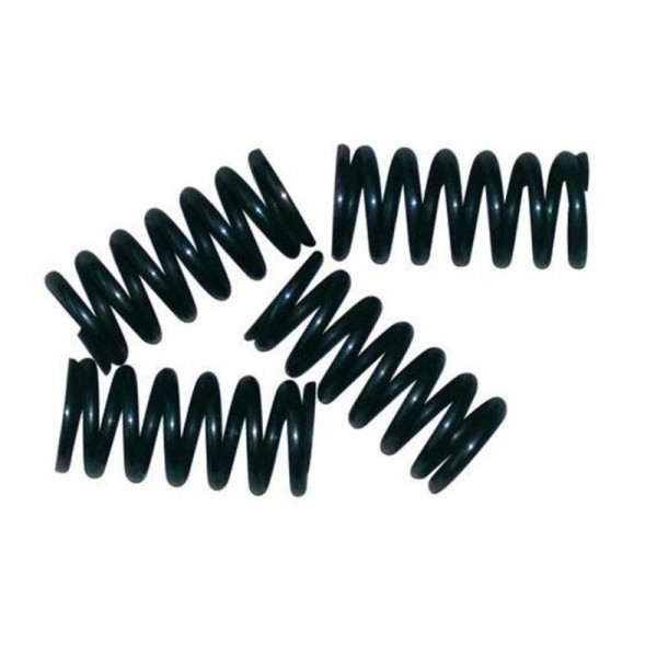 NEWFR SPRINGS CLUTCH