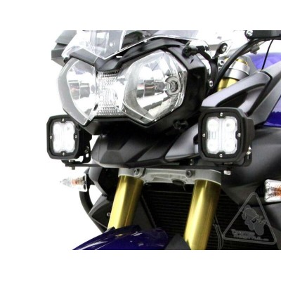 DENAL LGHT MOUNT TRIUMPH...