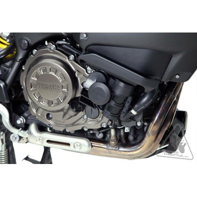 DENAL MOUNT SOUNDBOMB...