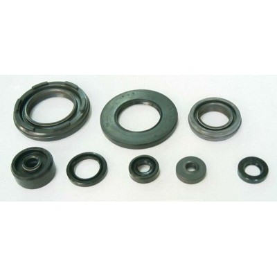 TOURM OIL SEAL LOW ENGINE