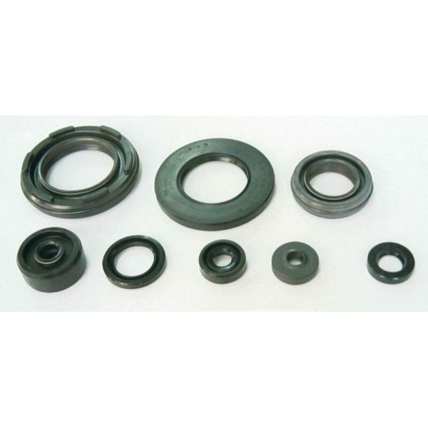 TOURM OIL SEAL LOW ENGINE