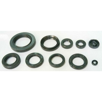 TOURM OIL SEAL LOW ENGINE