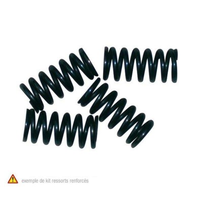 TOURM SPRINGS CLUTCH