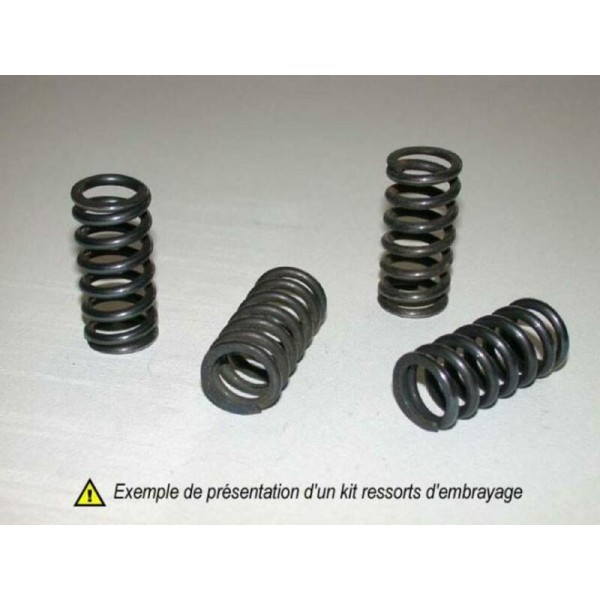 TOURM SPRINGS CLUTCH