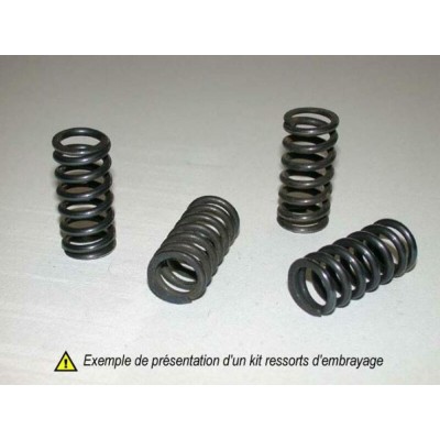 TOURM SPRINGS CLUTCH