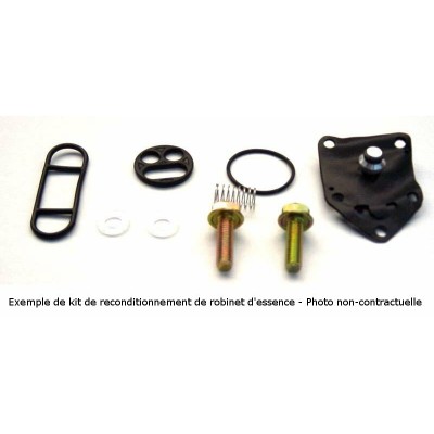 TOURM REPAIRKIT FUEL VALVE