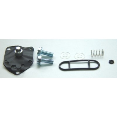 TOURM REPAIR KIT FCK-20