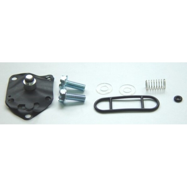TOURM REPAIR KIT FCK-20