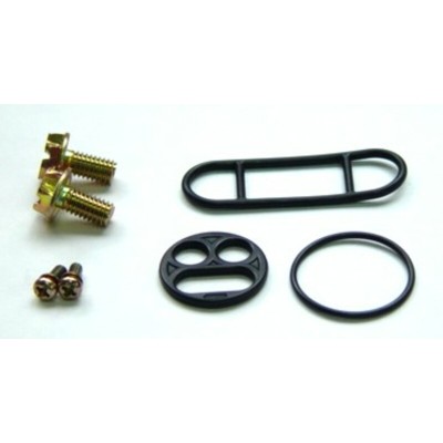 TOURM REPAIR KIT FCK-22