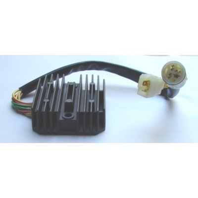 TOURM REGULATOR