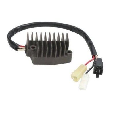 TOURM REGULATOR