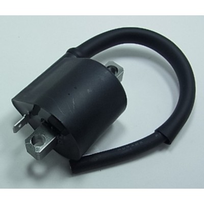 TOURM IGNITION COIL 425