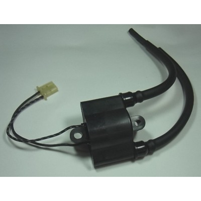 TOURM IGNITION COIL 307