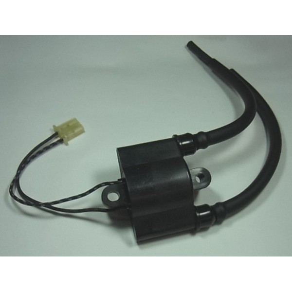 TOURM IGNITION COIL 307