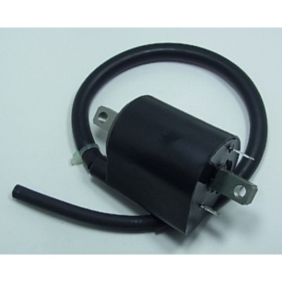 TOURM IGNITION COIL 319