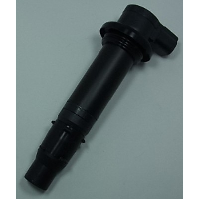 TOURM IGNITION COIL 219P