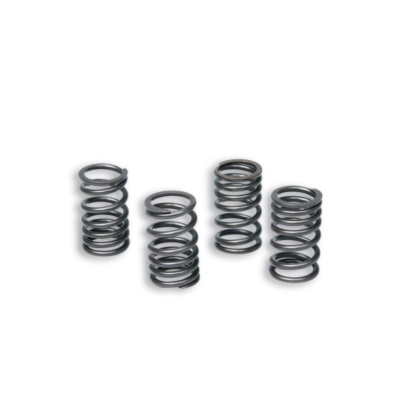 MALOS SET REINFORCED SPRINGS