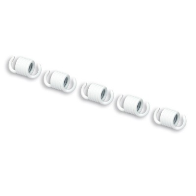 MALOS 5 CLUTCH SPRINGS...