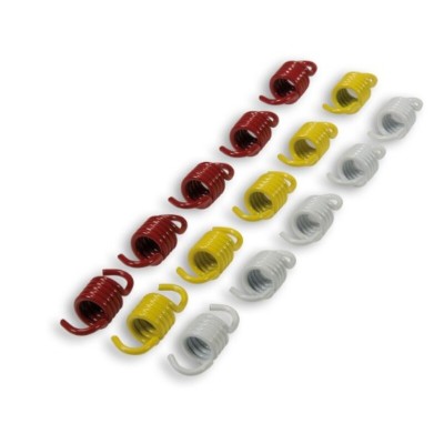 MALOS SPRINGS CLUTCH - SET...