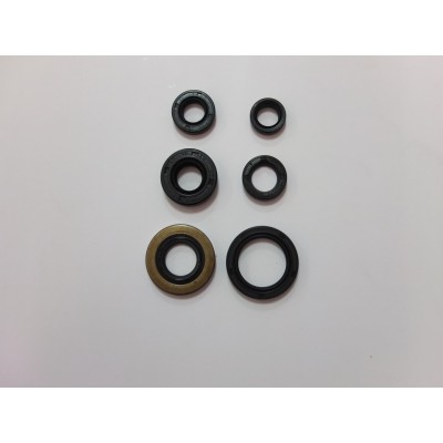 KIT VEDANTES MOTOR TRX400EX...