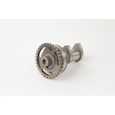 ARVORE CAMES HOT CAMS...