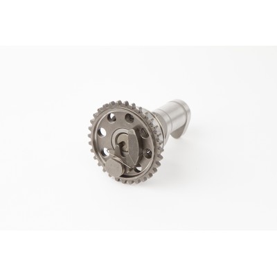 ARVORE CAMES HOT CAMS...