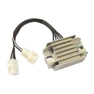 REGULADOR DZE REG2408...