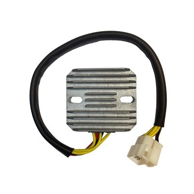 REGULADOR DZE REG2500...