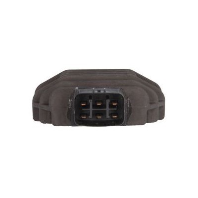 RGU-229 REGULADOR TOURMAX...